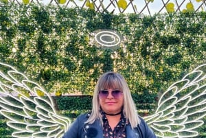 Santiago: Andes Mountains Sunset and Valle Nevado & Picnic