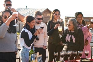 Santiago: Andes Mountains Sunset and Valle Nevado & Picnic