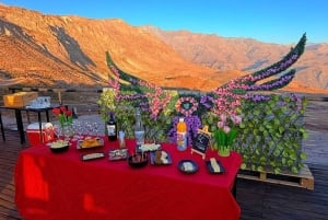 Santiago: Andes Sunset Tour with Picnic & Guide