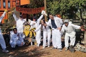 Apiculture and Vineyard Experience in Valparaiso