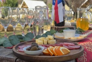 Santiago: Cajón del Maipo ja El Yeson patoalue, chililäinen juhla ja piknik