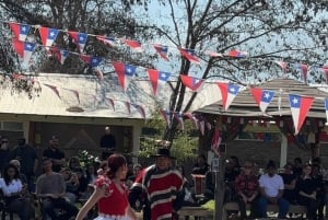 Santiago: Cajón del Maipo ja El Yeson patoalue, chililäinen juhla ja piknik