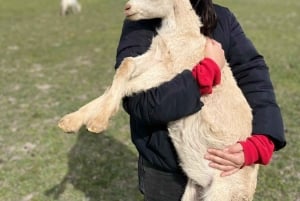 Santiago: Cajón del Maipo ja El Yeson patoalue, chililäinen juhla ja piknik