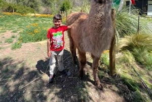 Santiago: Cajón del Maipo ja El Yeson patoalue, chililäinen juhla ja piknik