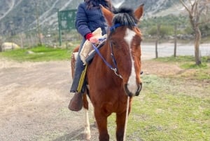 Santiago: Cajón del Maipo ja El Yeson patoalue, chililäinen juhla ja piknik