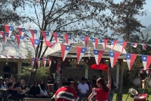 Santiago: Cajón del Maipo ja El Yeson patoalue, chililäinen juhla ja piknik