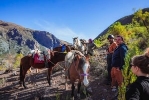 Santiago: Cajón del Maipos aktiviteter i bjergene