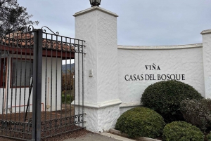 Santiago: Casa del Bosque Winery maisteluineen ja illallisineen.