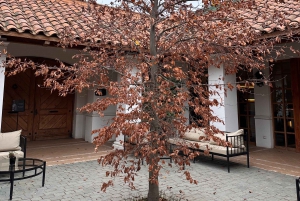 Santiago: Casa del Bosque Winery with Tasting and Dinner
