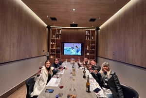 Santiago: Casa del Bosque vingård med smaksprøver og middag