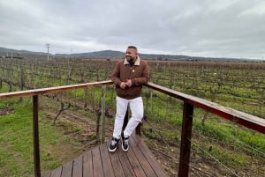 Santiago: Bodega Casa del Bosque con cata y almuerzo
