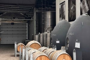 Santiago: Bodega Casa del Bosque con cata y almuerzo