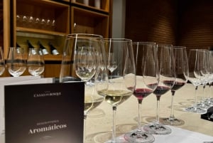 Santiago: Bodega Casa del Bosque con cata y almuerzo