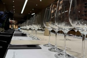 Santiago: Bodega Casa del Bosque con cata y almuerzo