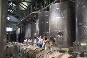 Santiago: Casa del Bosque Winery Tour with Tasting and Lunch