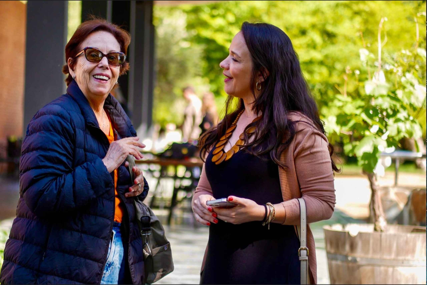 Santiago: Casablanca Exclusive Wineries & Tanino Restaurant