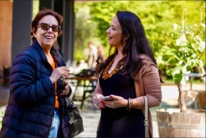 Santiago: Casablanca Exclusive Wineries & Tanino Restaurant