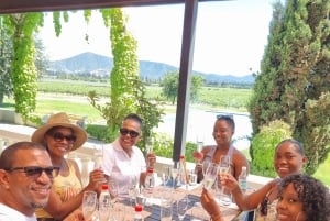 Santiago: Casablanca Exclusive Wineries & Tanino Restaurant