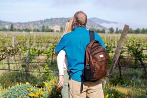 Santiago: Casablanca Exclusive Wineries & Tanino Restaurant