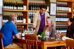 Santiago: Casablanca Exclusive Wineries & Tanino Restaurant