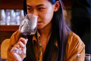 Santiago: Casablanca Exclusive Wineries & Tanino Restaurant