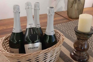 Santiago: Chocolate and Sparkling Wine Tasting Private Tour