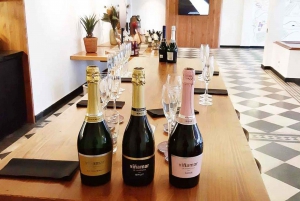 Santiago: Chocolate and Sparkling Wine Tasting Private Tour