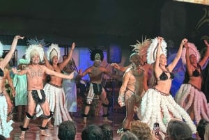 Santiago: City Tour and a Dinner Show