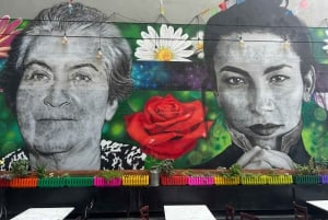 Santiago: City Tour and a Dinner Show
