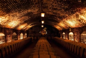 Santiago: Concha y Toro and Undurraga Vineyards Tour