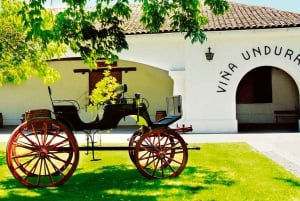 Santiago: Concha y Toro and Undurraga Vineyards Tour
