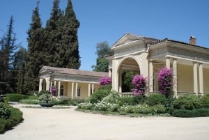 Santiago: Concha y Toro and Undurraga Vineyards Tour