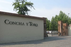 Santiago: Concha y Toro and Undurraga Vineyards Tour