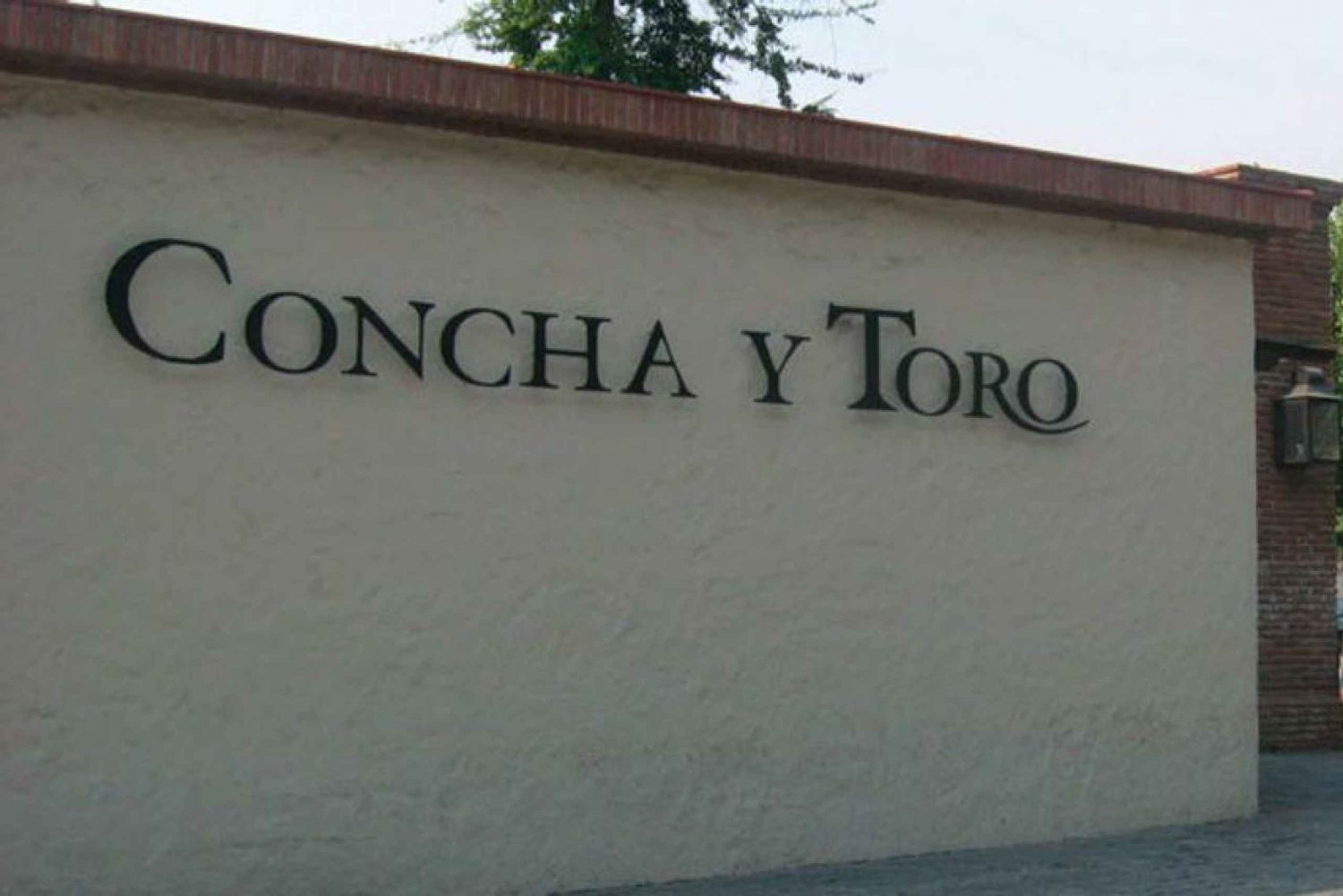 Santiago: Concha y Toro Winery 4–Hour Tour & Sommelier Class