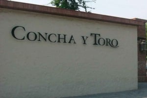 Santiago: Weingut Concha y Toro (4-stündige Tour & Kurs)
