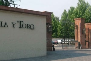 Santiago (Spanien) Concha y Toro vingård 4-timmars rundtur och sommelierklass
