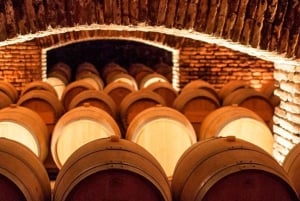 Santiago (Spanien) Concha y Toro vingård 4-timmars rundtur och sommelierklass