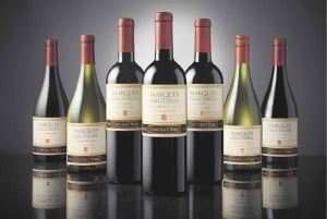 Santiago (Spanien) Concha y Toro vingård 4-timmars rundtur och sommelierklass