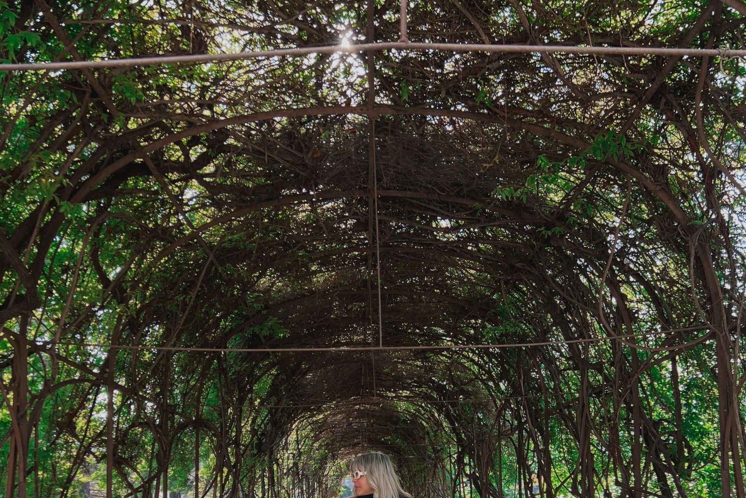 Santiago: Concha y Toro med transport, smagning og gavebæger