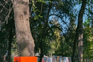 Santiago: Concha y Toro con traslado, degustación y copa de regalo