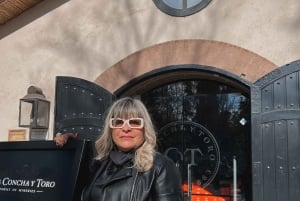 Santiago: Concha y Toro con traslado, degustación y copa de regalo