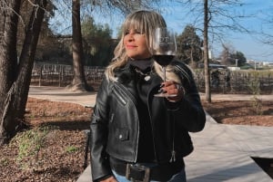 Santiago: Concha y Toro med transport, smagning og gavebæger