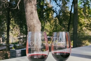 Santiago: Concha y Toro med transport, smagning og gavebæger