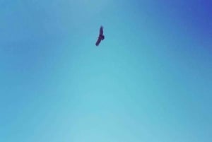 Santiago i Spanien: Kondorskådning vid Andes & Artisan Village