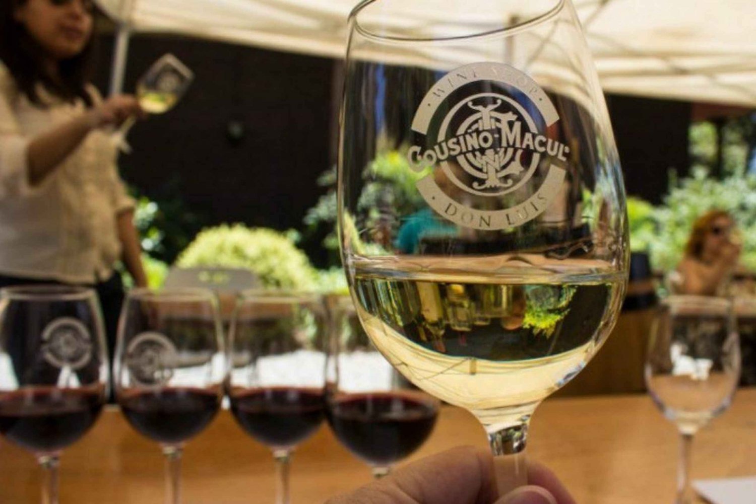 Santiago: Cousiño Macul officiell vingårdstur med provsmakning