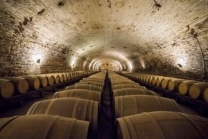 Santiago: Cousiño Macul Official Winery Tour with Tasting