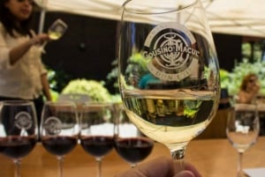 Сантьяго: Официальный тур по винодельне Cousiño Macul с дегустацией