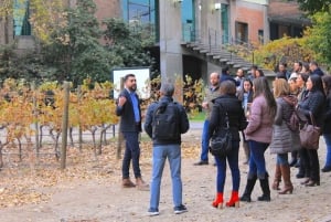 Santiago : Visite officielle du vignoble Cousiño Macul avec dégustation