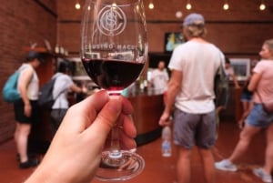 Santiago: Cousiño Macul Officiel rundvisning på vingården med smagning