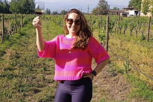 Santiago: Premium provsmakning på vingården Cousiño Macul